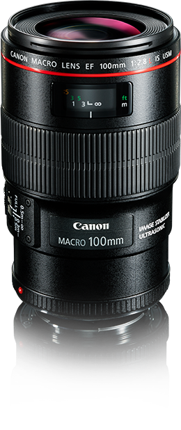 LENTE CANON EF 100MM F/2.8L MACRO IS USM – LOJA OFICIAL CREDENCIADA | ( GARANTIA DE FÁBRICA )