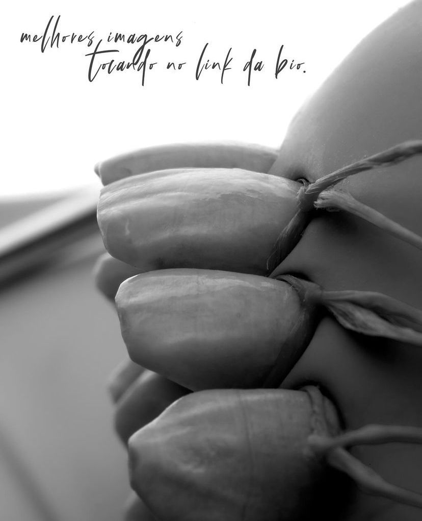 KIT 10- CÂMERA PROFISSIONAL R100 MIRRORLESS + KIT MACRO OU LENTE CANON RF 100MM + TWIN GODOX MF-12 ( GARANTIA DE FÁB.)